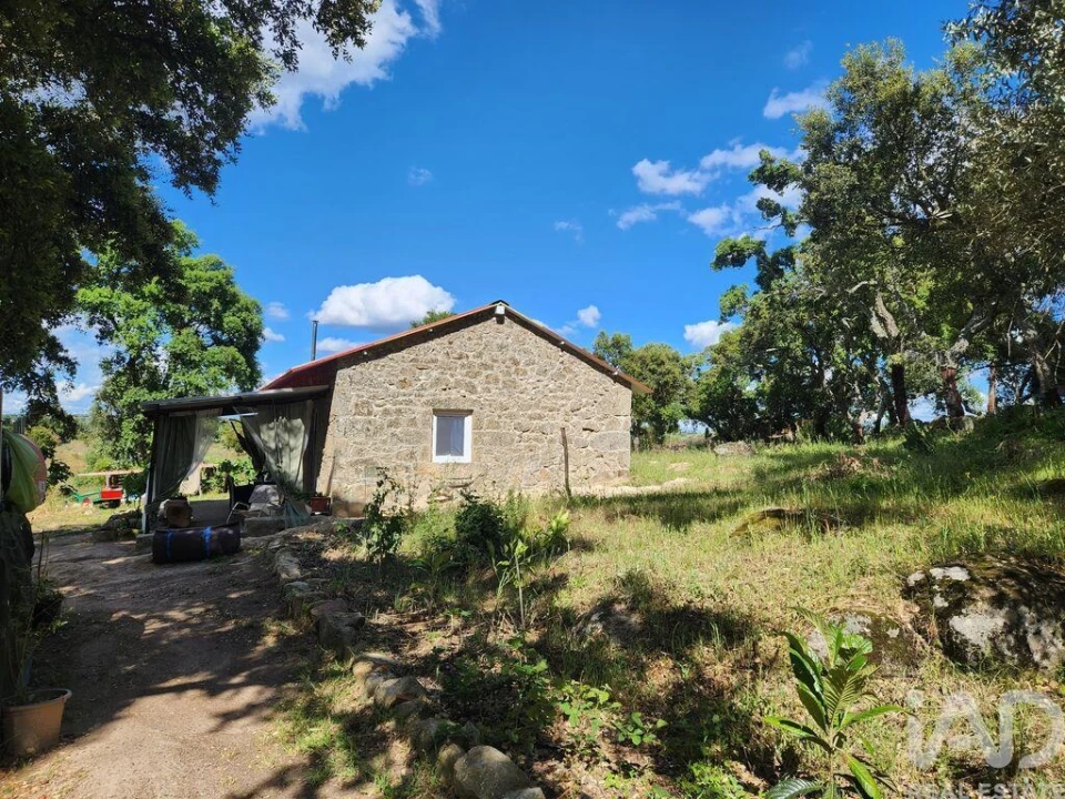 Moradia T1 para Venda em Escalos de Baixo e Mata Foto 5