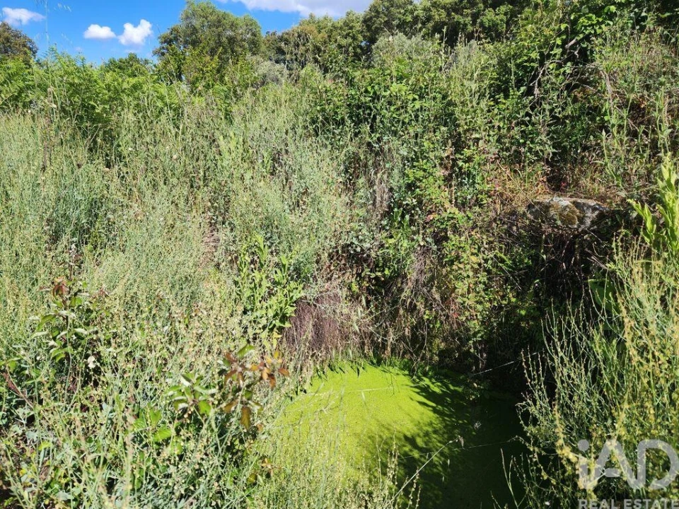 Moradia T1 para Venda em Escalos de Baixo e Mata Foto 28
