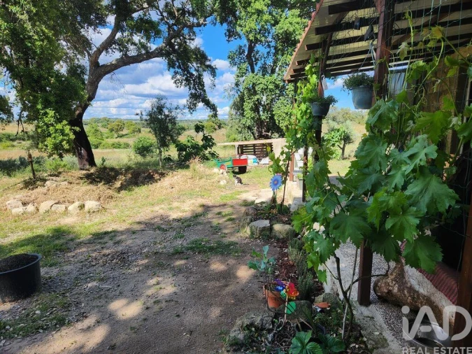 Moradia T1 para Venda em Escalos de Baixo e Mata Foto 35