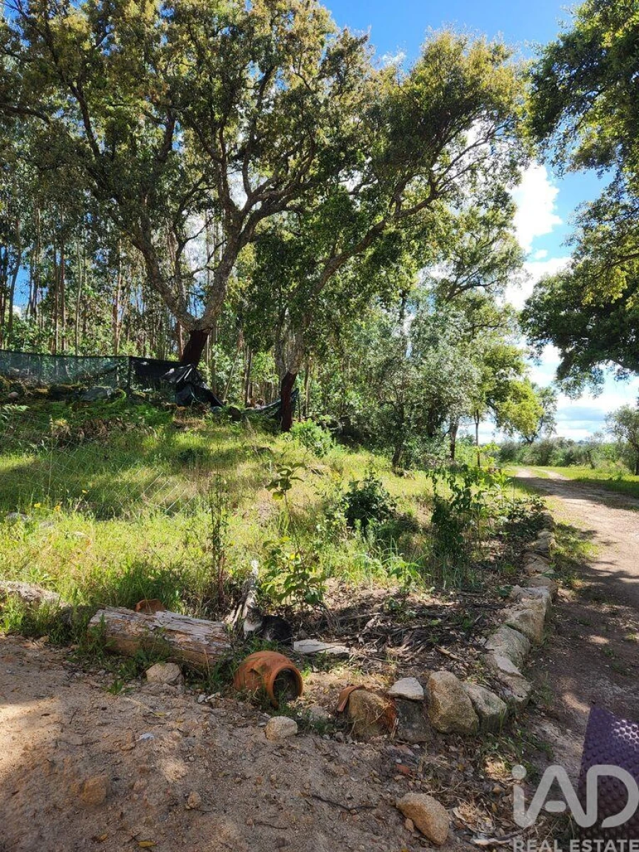 Moradia T1 para Venda em Escalos de Baixo e Mata Foto 34
