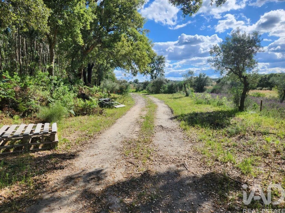 Moradia T1 para Venda em Escalos de Baixo e Mata Foto 38