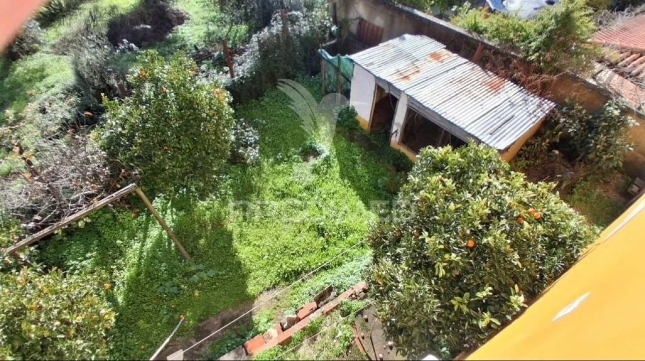 Moradia T7 para Venda em Vila Nova da Barquinha Foto 7