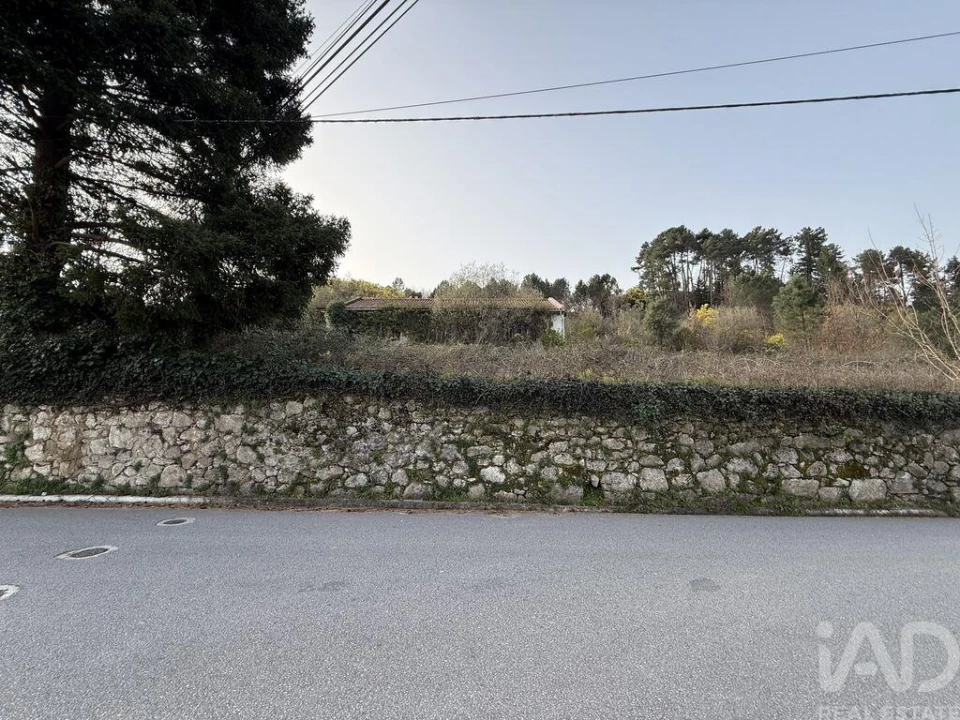 Quinta T4 para Venda em Parada de Cunhos Foto 3