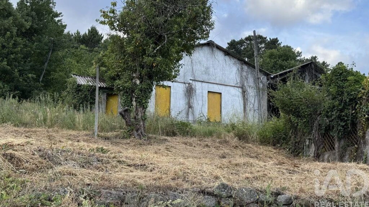 Quinta T4 para Venda em Parada de Cunhos Foto 7