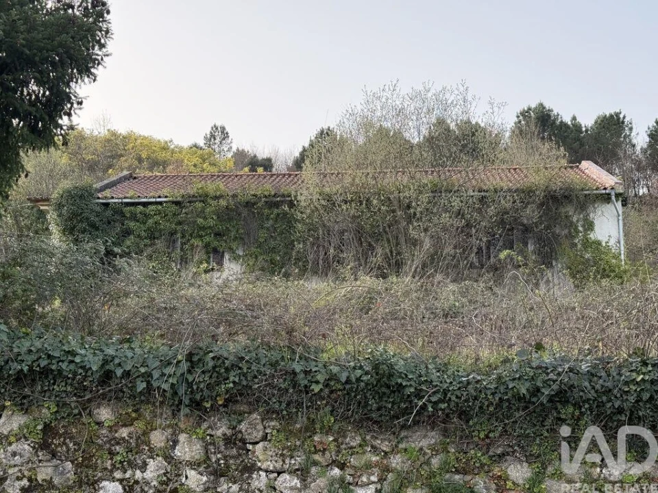 Quinta T4 para Venda em Parada de Cunhos Foto 1