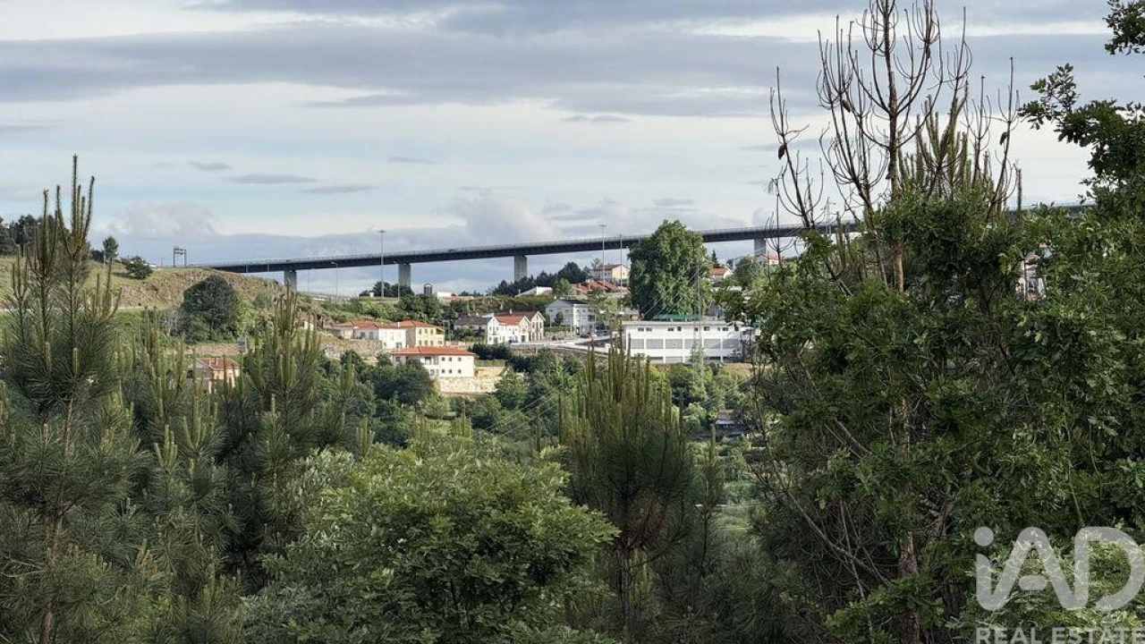Quinta T4 para Venda em Parada de Cunhos Foto 13