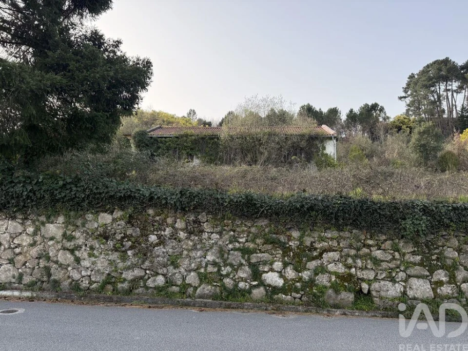 Quinta T4 para Venda em Parada de Cunhos Foto 2