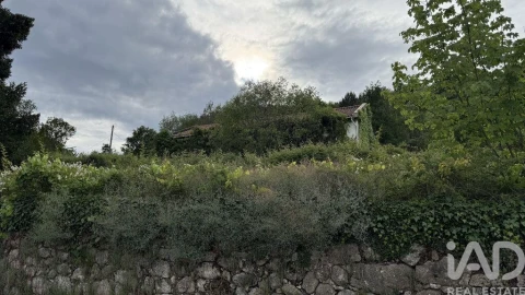 Quinta T4 para Venda em Parada de Cunhos