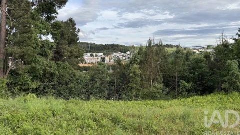 Quinta T4 para Venda em Parada de Cunhos