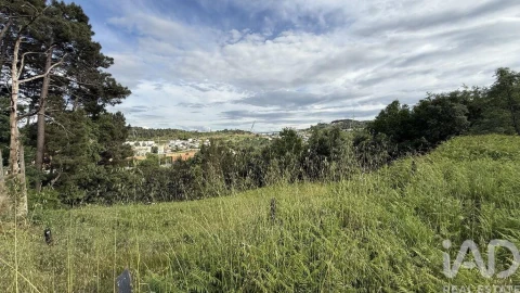 Quinta T4 para Venda em Parada de Cunhos