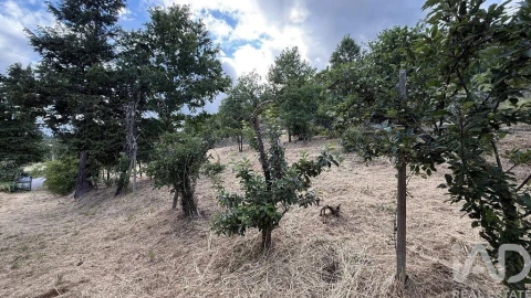 Quinta T4 para Venda em Parada de Cunhos