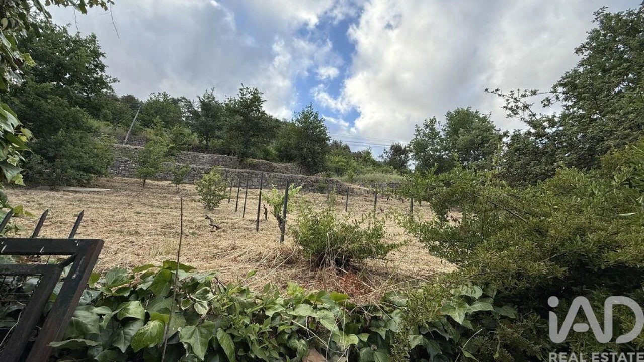 Quinta T4 para Venda em Parada de Cunhos Foto 3