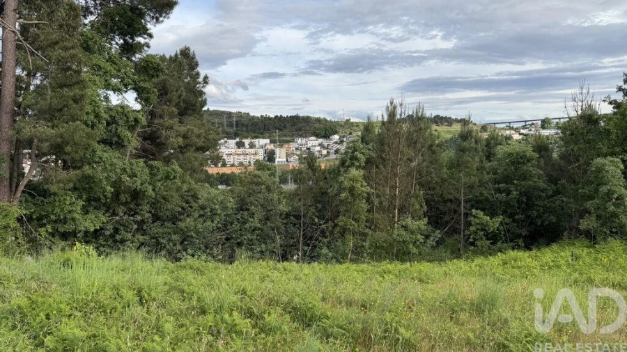 Quinta T4 para Venda em Parada de Cunhos Foto 24