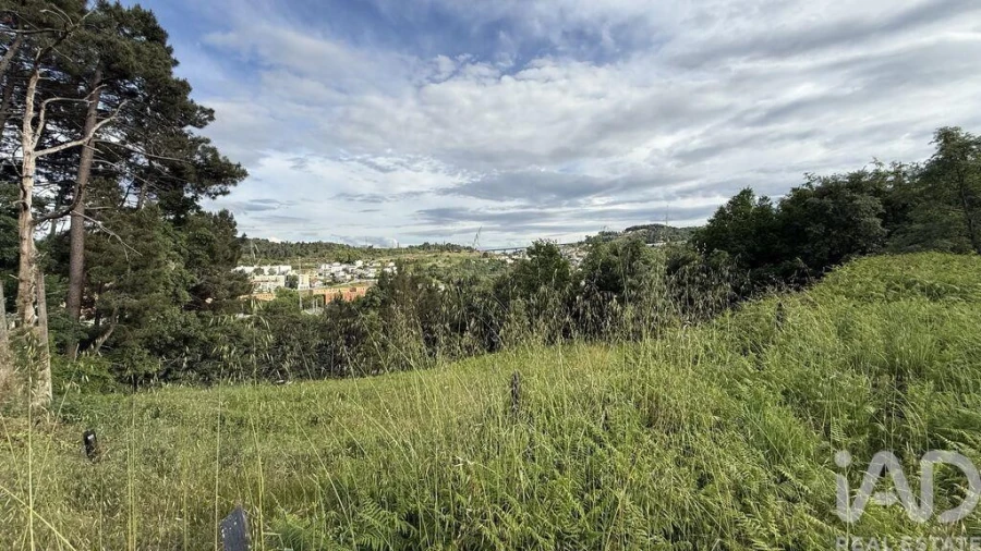 Quinta T4 para Venda em Parada de Cunhos Foto 25