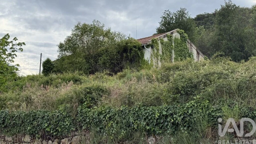 Quinta T4 para Venda em Parada de Cunhos Foto 2