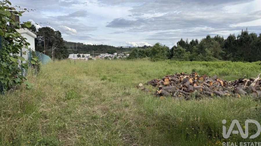 Quinta T4 para Venda em Parada de Cunhos Foto 27