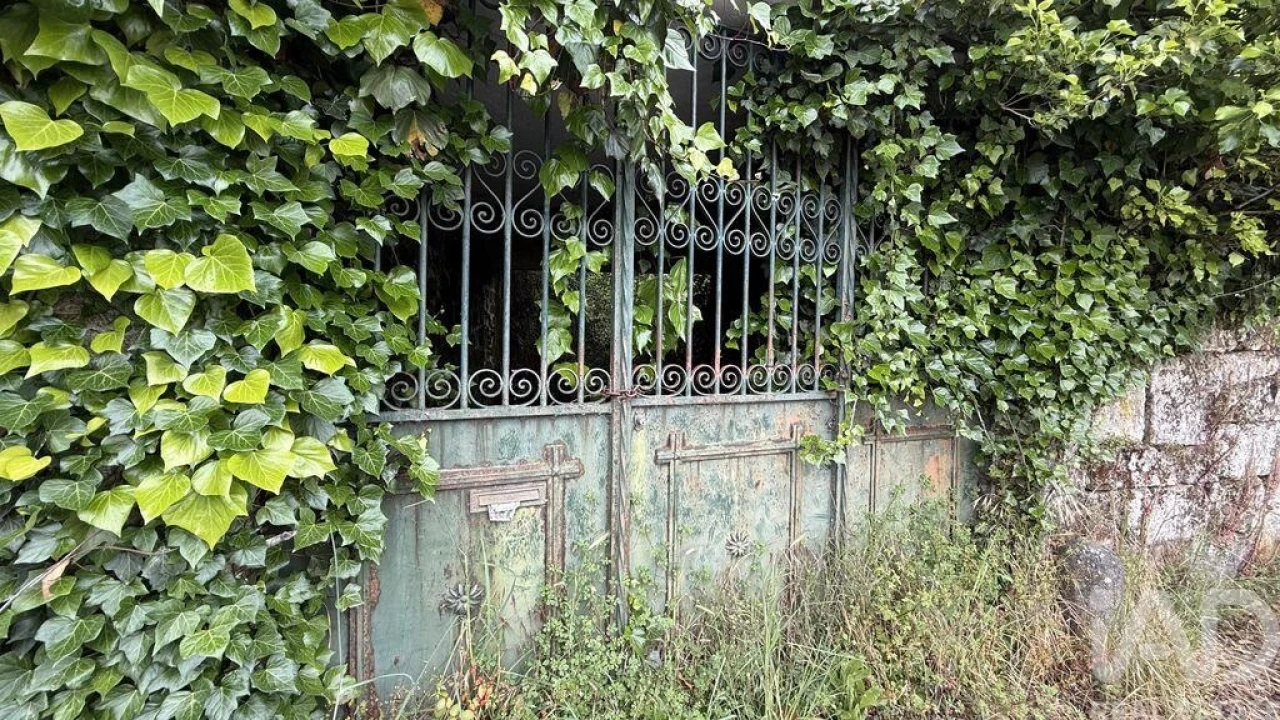 Quinta T4 para Venda em Parada de Cunhos Foto 4
