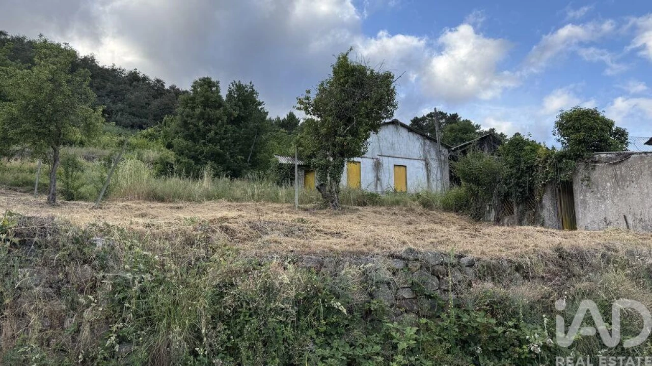 Quinta T4 para Venda em Parada de Cunhos Foto 6