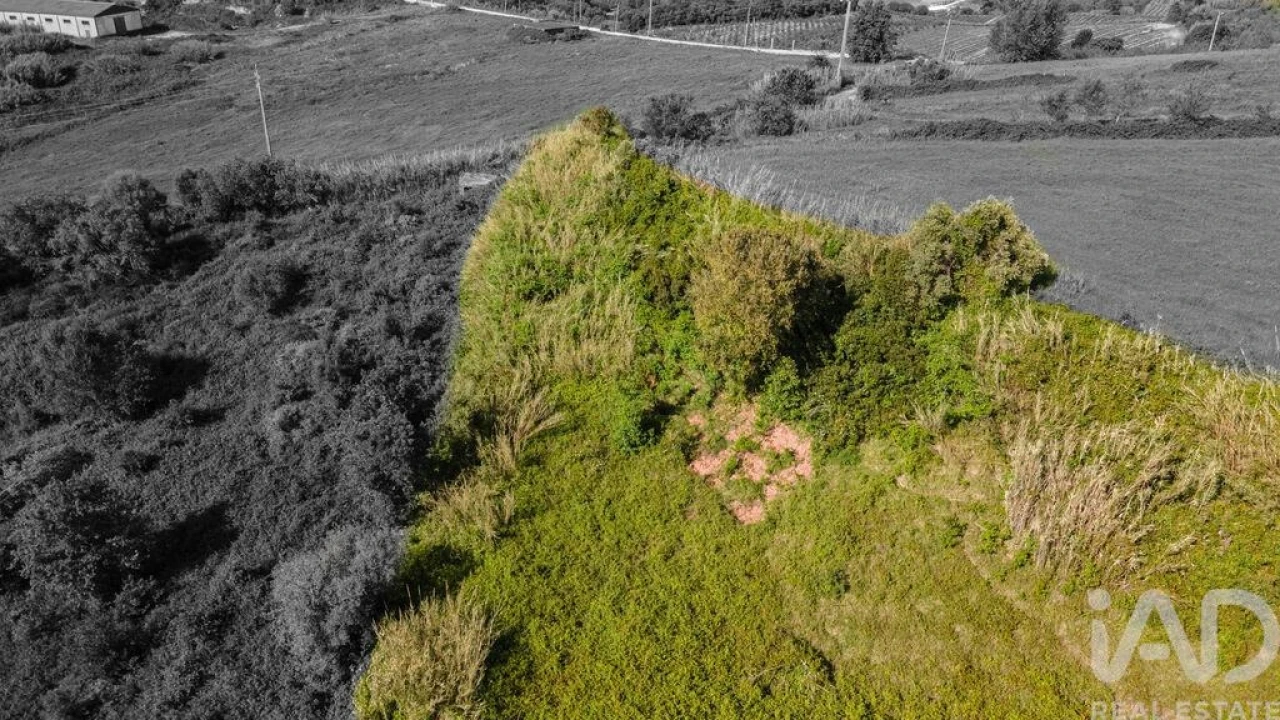 Terreno para Venda em Cadaval e Pêro Moniz Foto 3