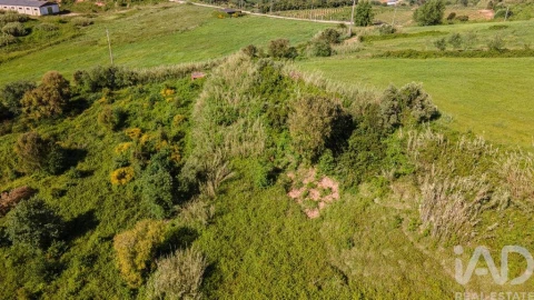 Terreno para Venda em Cadaval e Pêro Moniz