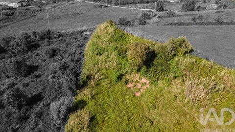 Terreno para Venda em Cadaval e Pêro Moniz