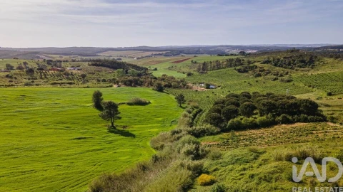 Terreno para Venda em Cadaval e Pêro Moniz