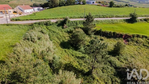 Terreno para Venda em Cadaval e Pêro Moniz