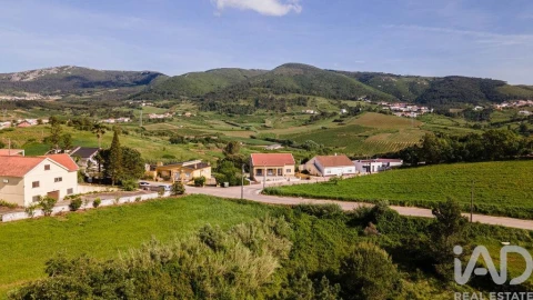Terreno para Venda em Cadaval e Pêro Moniz