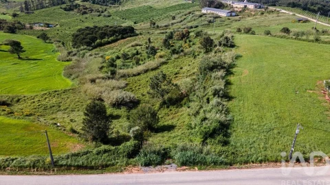 Terreno para Venda em Cadaval e Pêro Moniz