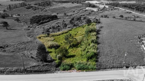Terreno para Venda em Cadaval e Pêro Moniz
