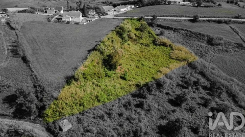 Terreno para Venda em Cadaval e Pêro Moniz