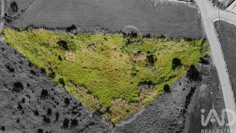 Terreno para Venda em Cadaval e Pêro Moniz