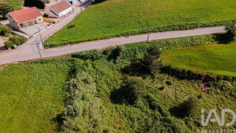 Terreno para Venda em Cadaval e Pêro Moniz