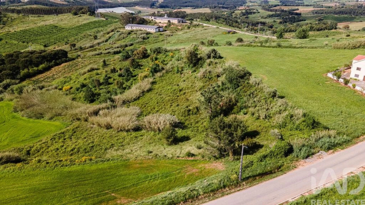 Terreno para Venda em Cadaval e Pêro Moniz Foto 11