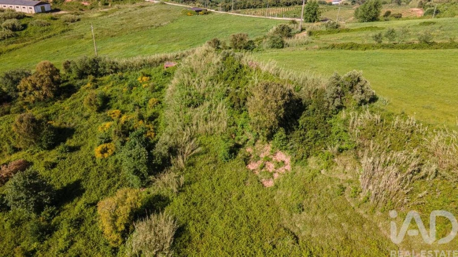 Terreno para Venda em Cadaval e Pêro Moniz Foto 14
