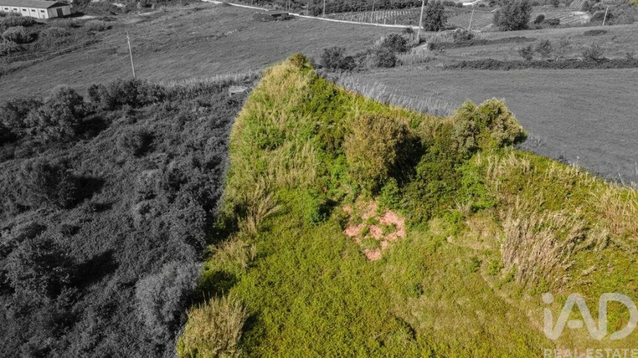 Terreno para Venda em Cadaval e Pêro Moniz Foto 3