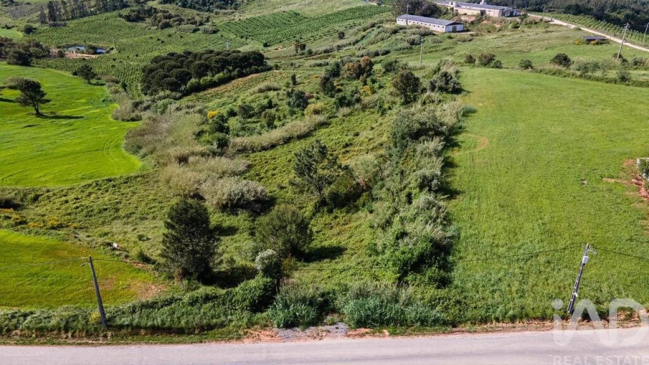 Terreno para Venda em Cadaval e Pêro Moniz Foto 9