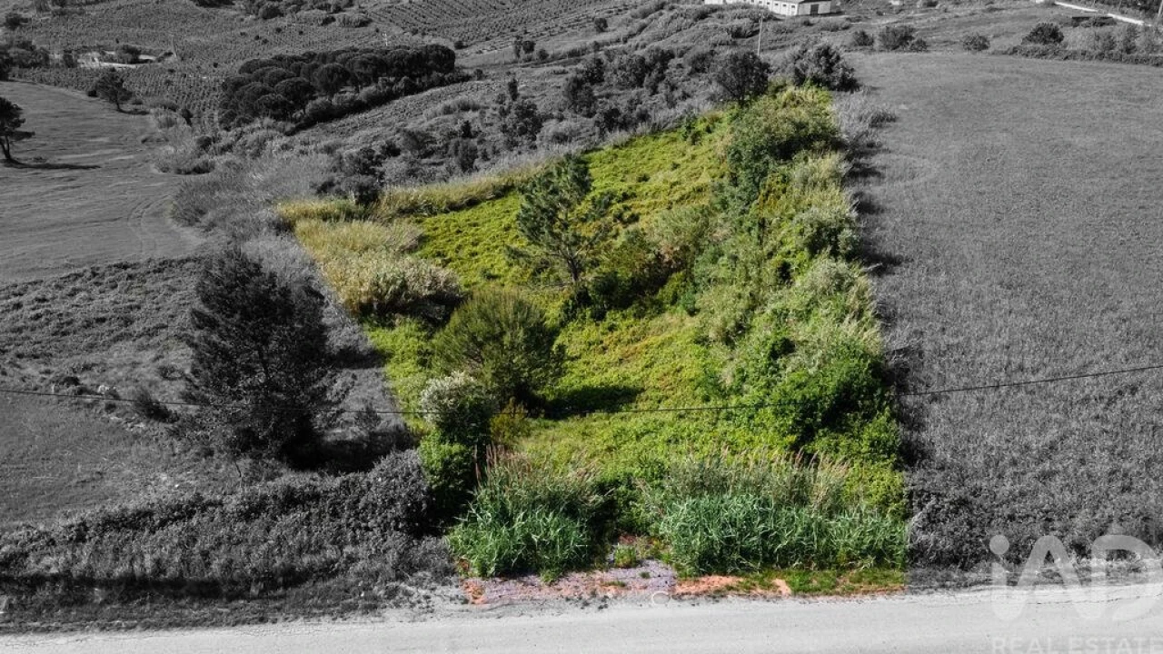 Terreno para Venda em Cadaval e Pêro Moniz Foto 8
