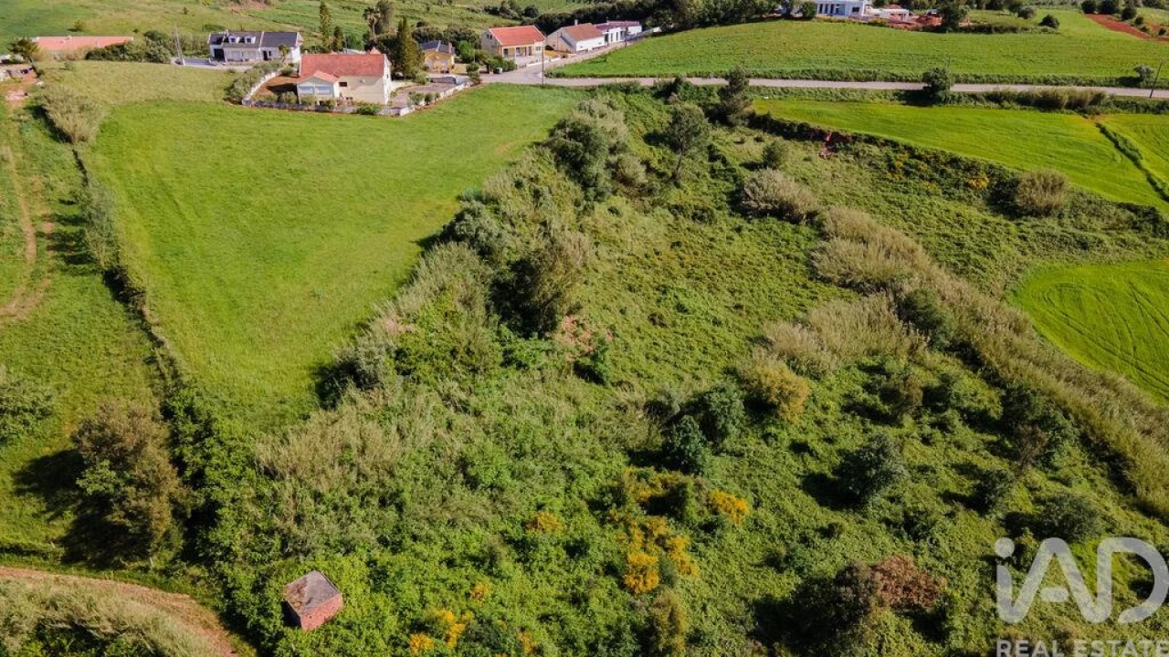 Terreno para Venda em Cadaval e Pêro Moniz Foto 21