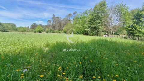 Terreno para Venda em São Pedro de Arcos