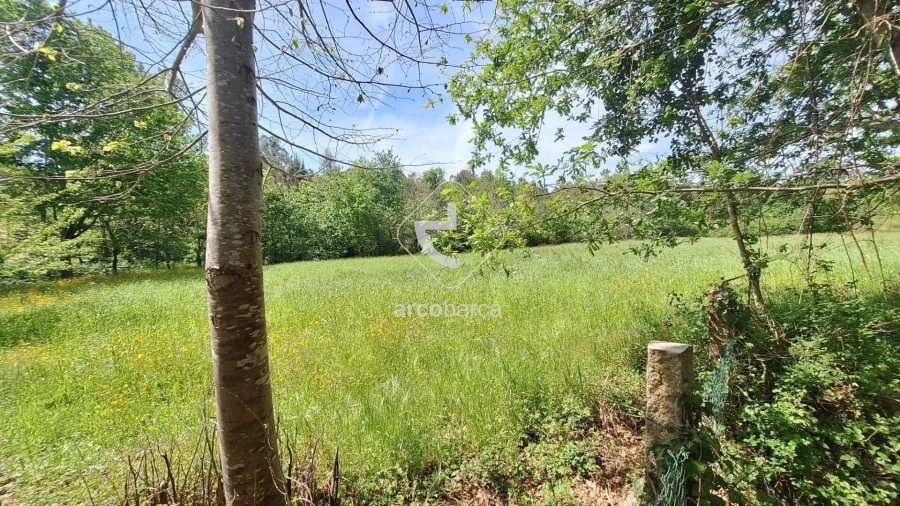 Terreno para Venda em São Pedro de Arcos Foto 7