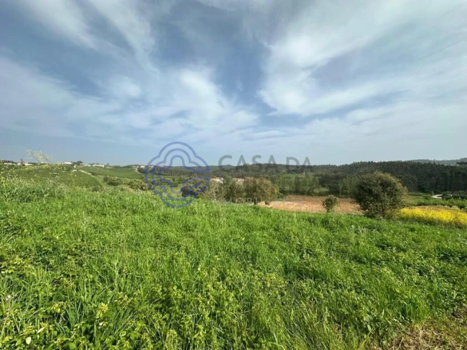 Terreno para Venda em A dos Francos Foto 2