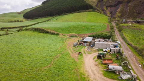 Terreno para Venda em Arrifes