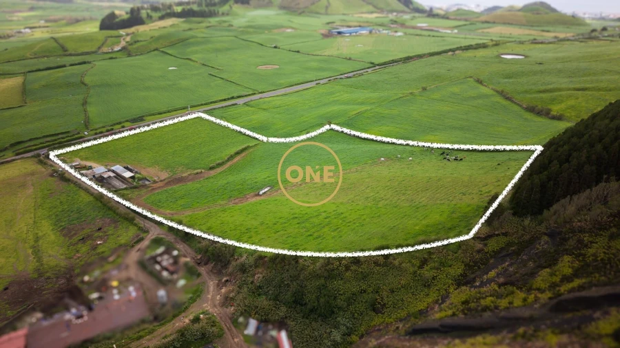 Terreno para Venda em Arrifes Foto 4