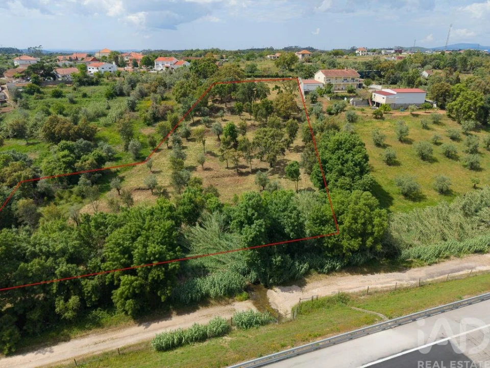 Terreno para Venda em Casais e Alviobeira Foto 17