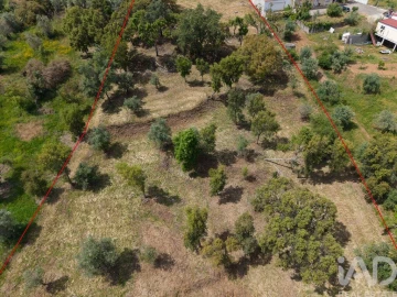 Terreno para Venda em Casais e Alviobeira