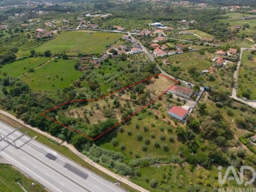 Terreno para Venda em Casais e Alviobeira