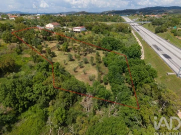 Terreno para Venda em Casais e Alviobeira