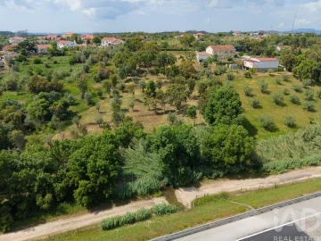 Terreno para Venda em Casais e Alviobeira