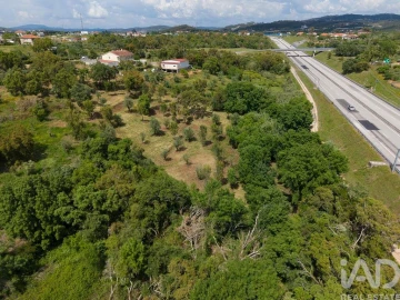 Terreno para Venda em Casais e Alviobeira